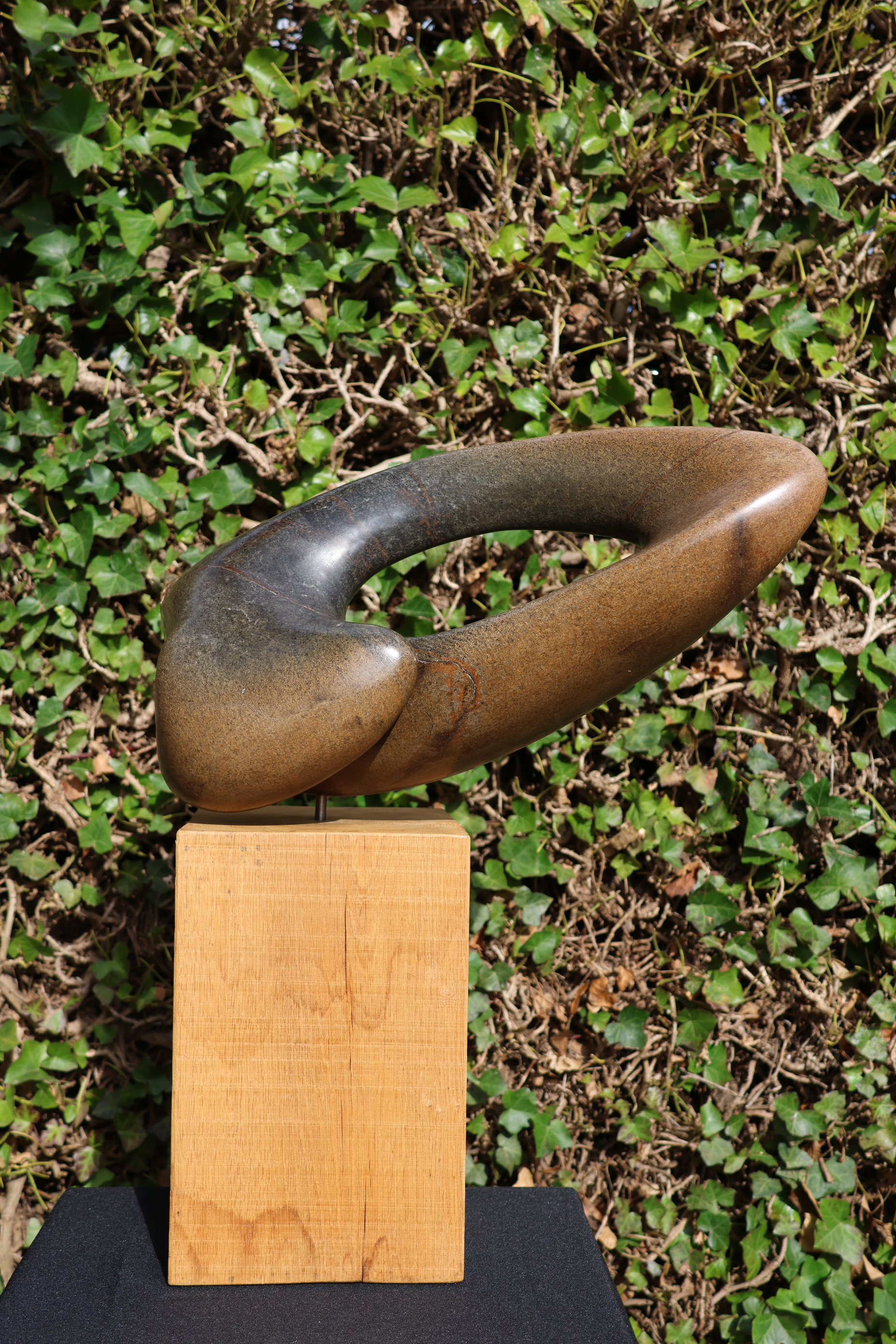 Serpentijn – foto 2