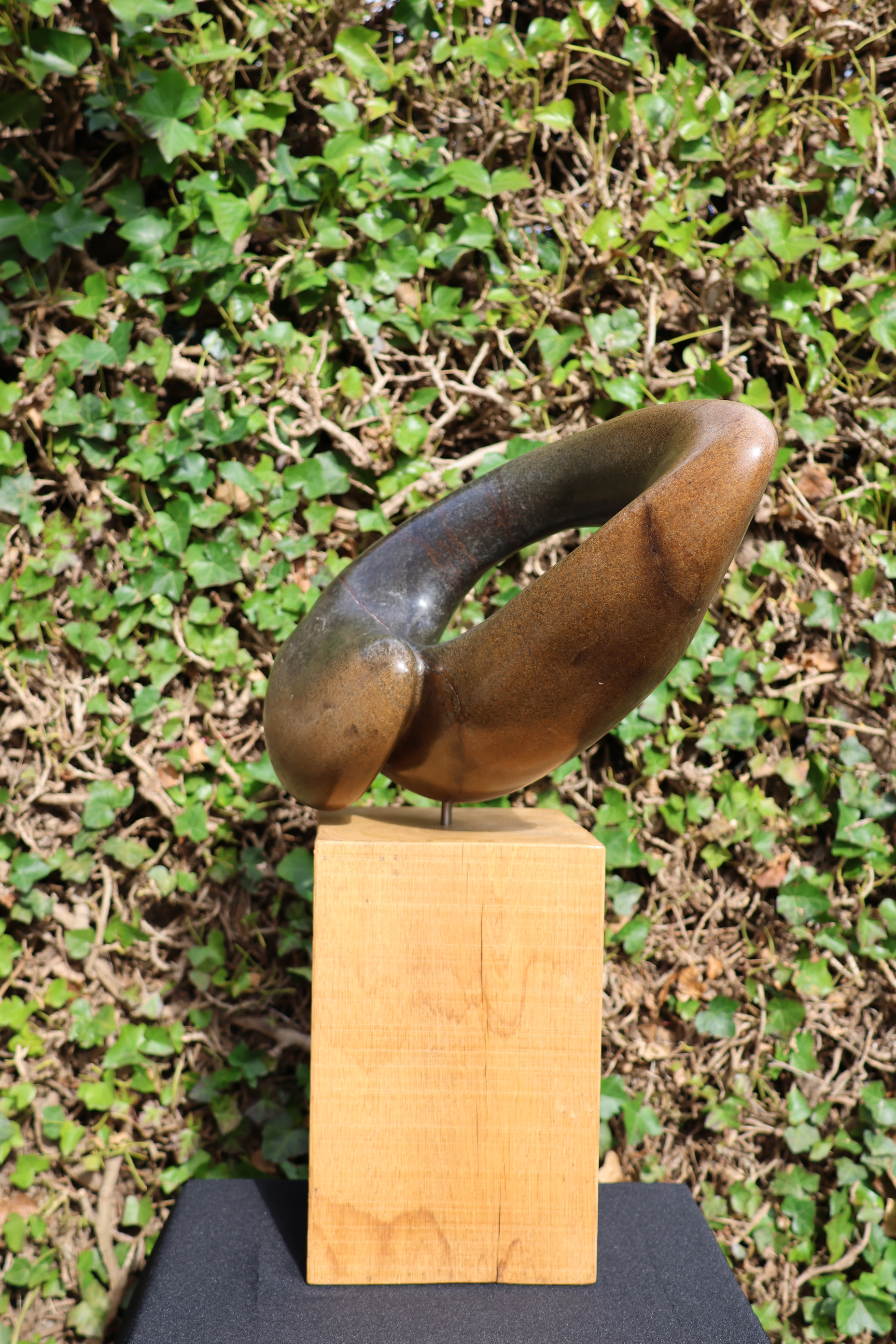 Serpentijn – foto 3