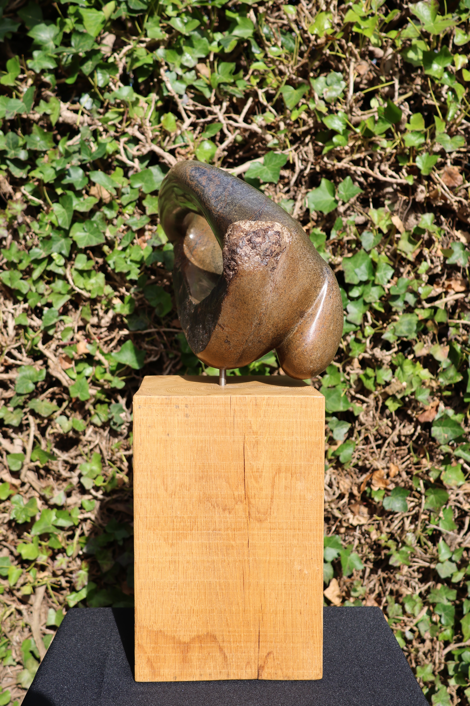 Serpentijn – foto 6