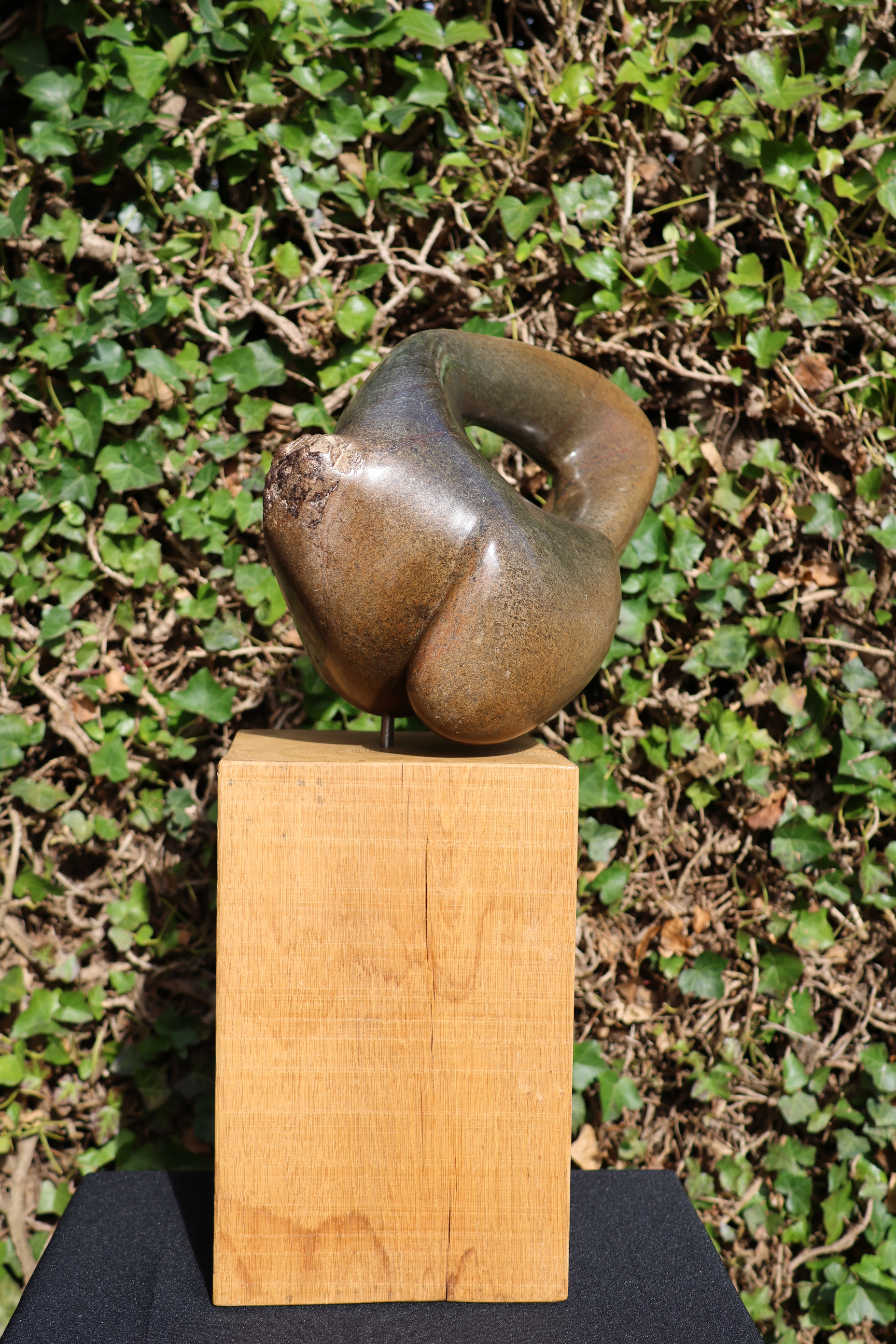 Serpentijn – foto 7