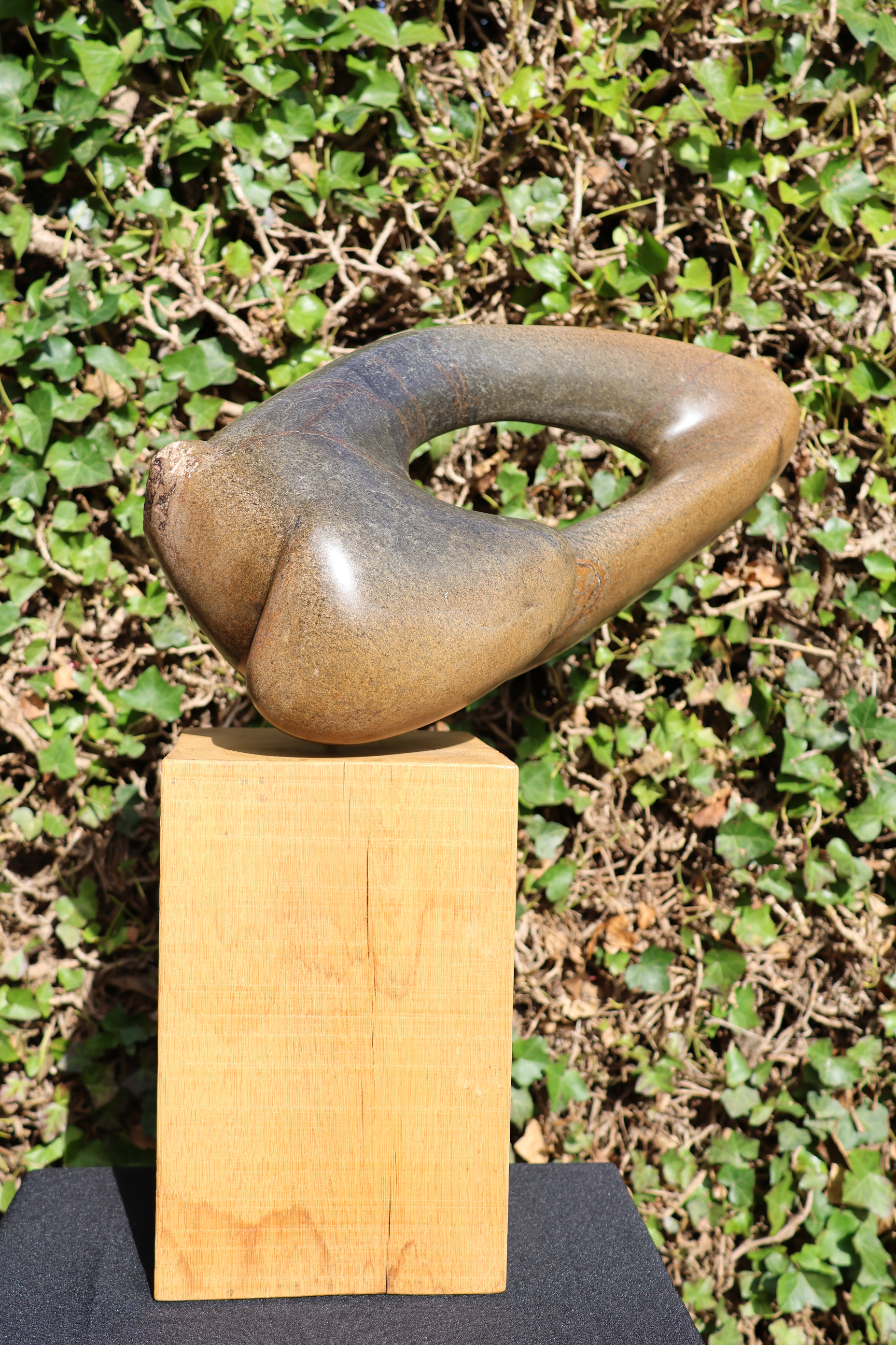 Serpentijn – foto 8