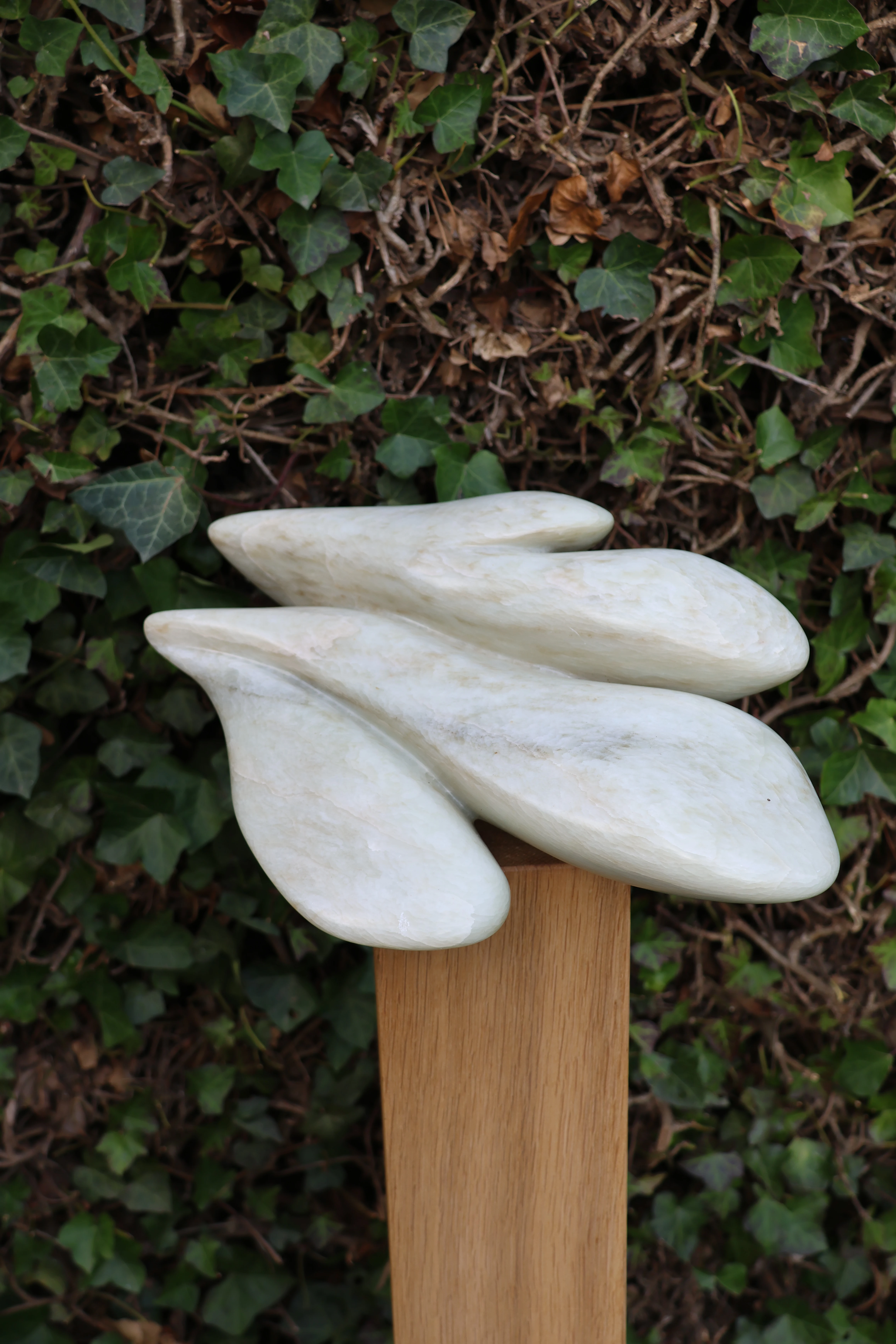 Chinees speksteen – foto 4