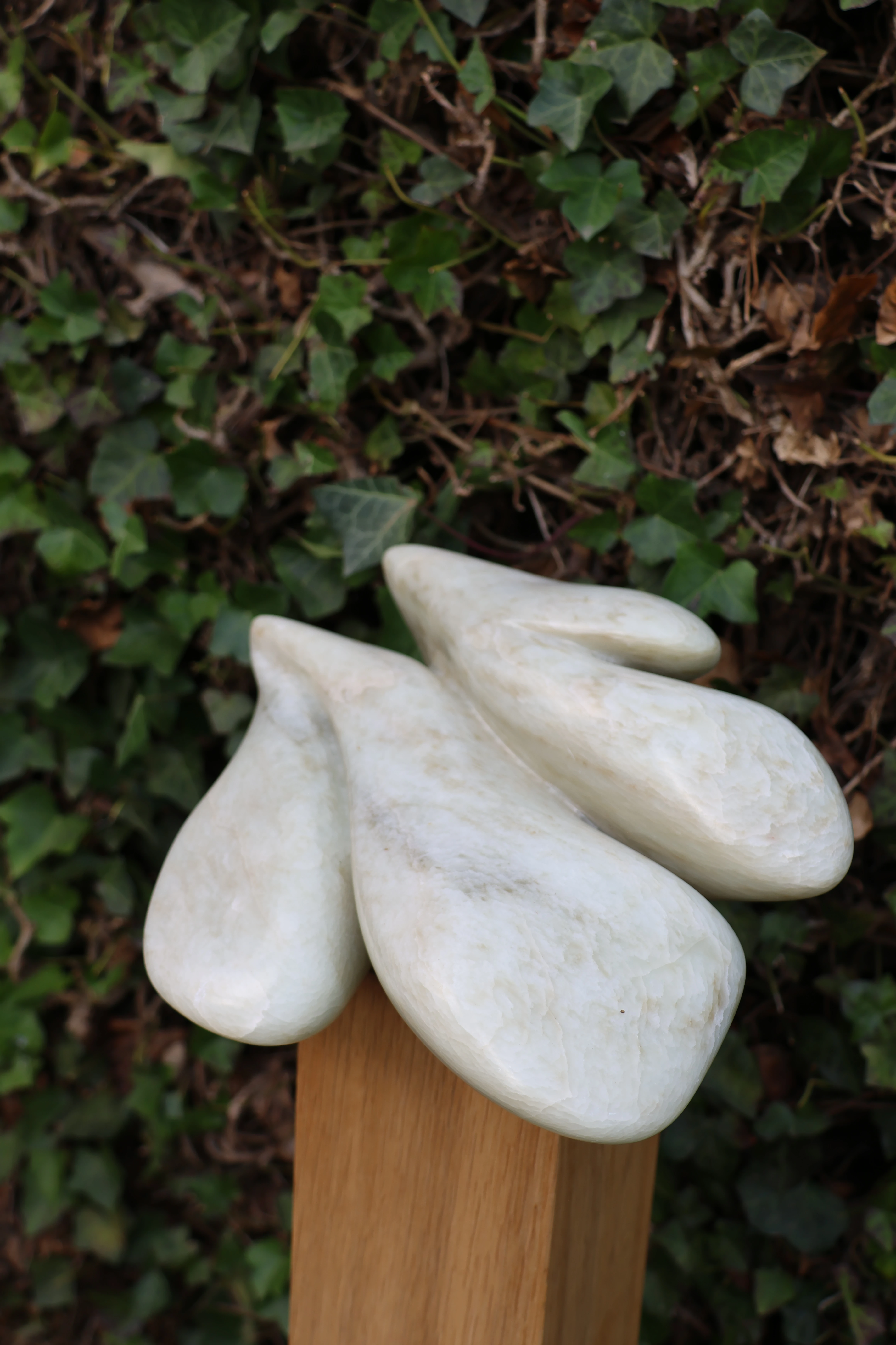 Chinees speksteen – foto 5