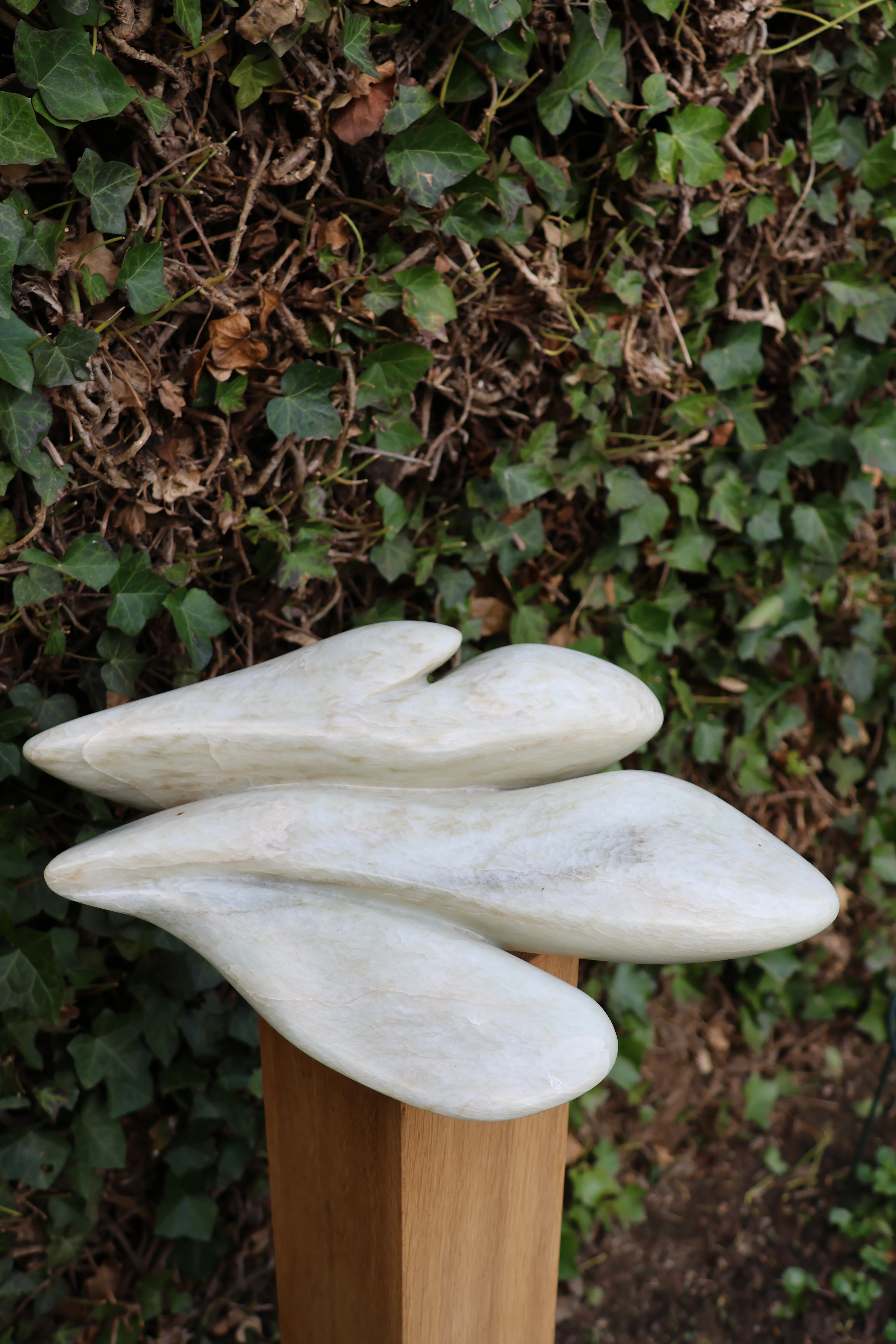 Chinees speksteen – foto 6