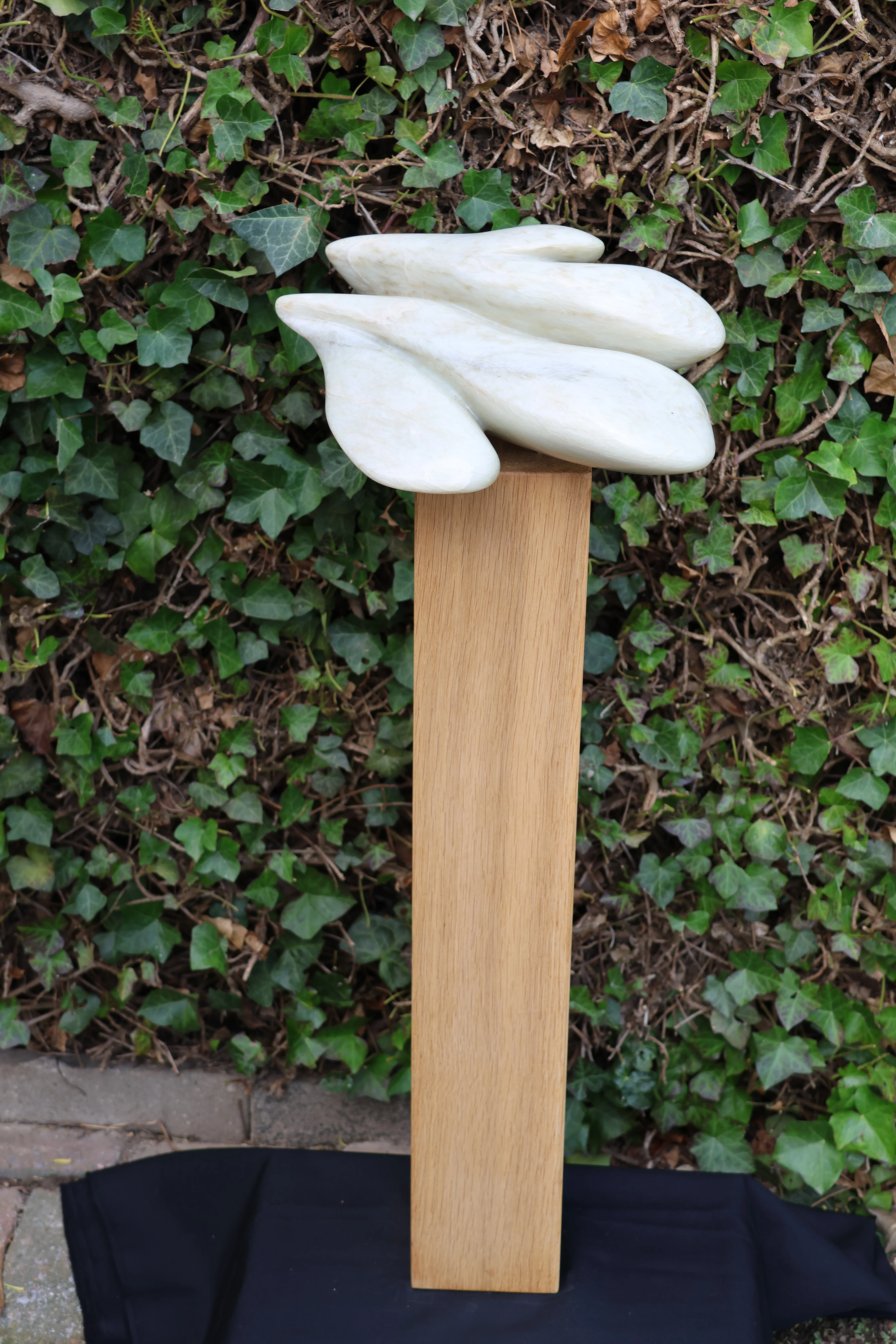 Chinees speksteen – foto 2