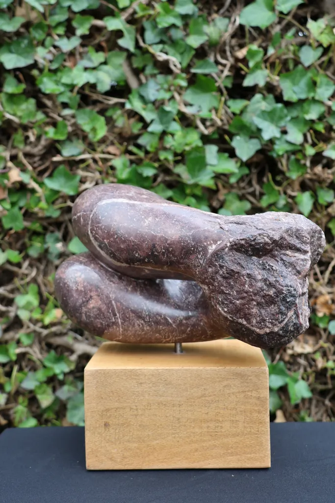 Braziliaanse speksteen – foto 5