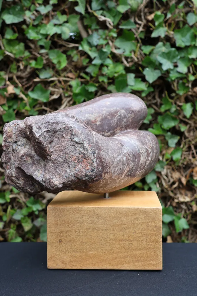 Braziliaanse speksteen – foto 7